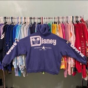 Disney parks Walt Disney world castle spirit jersey L Hoodie